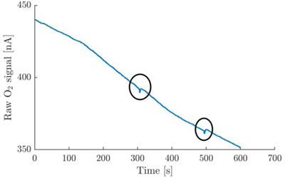 Metabolic Cost of Activation and Mechanical Efficiency of Mouse Soleus Muscle Fiber Bundles During Repetitive Concentric and Eccentric Contractions